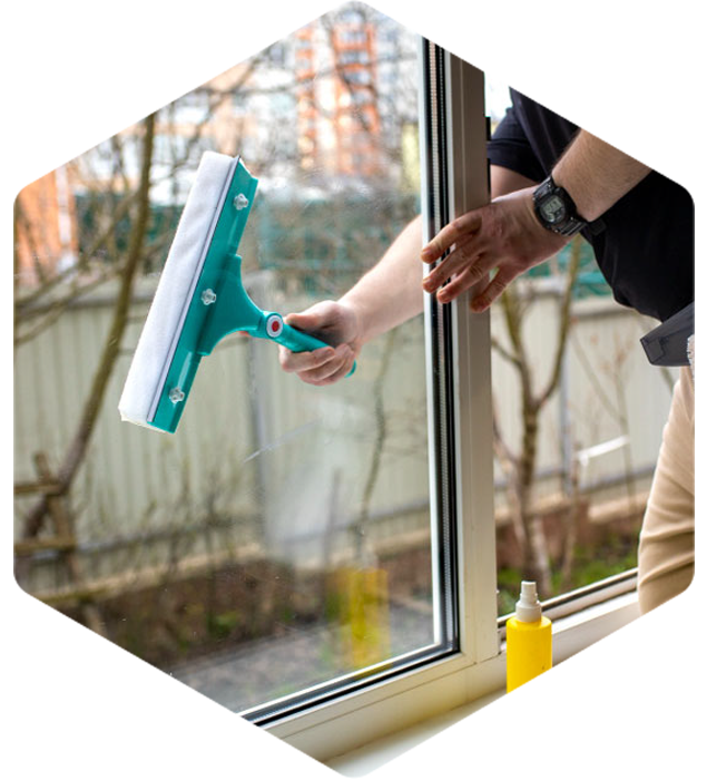 window cleaning services